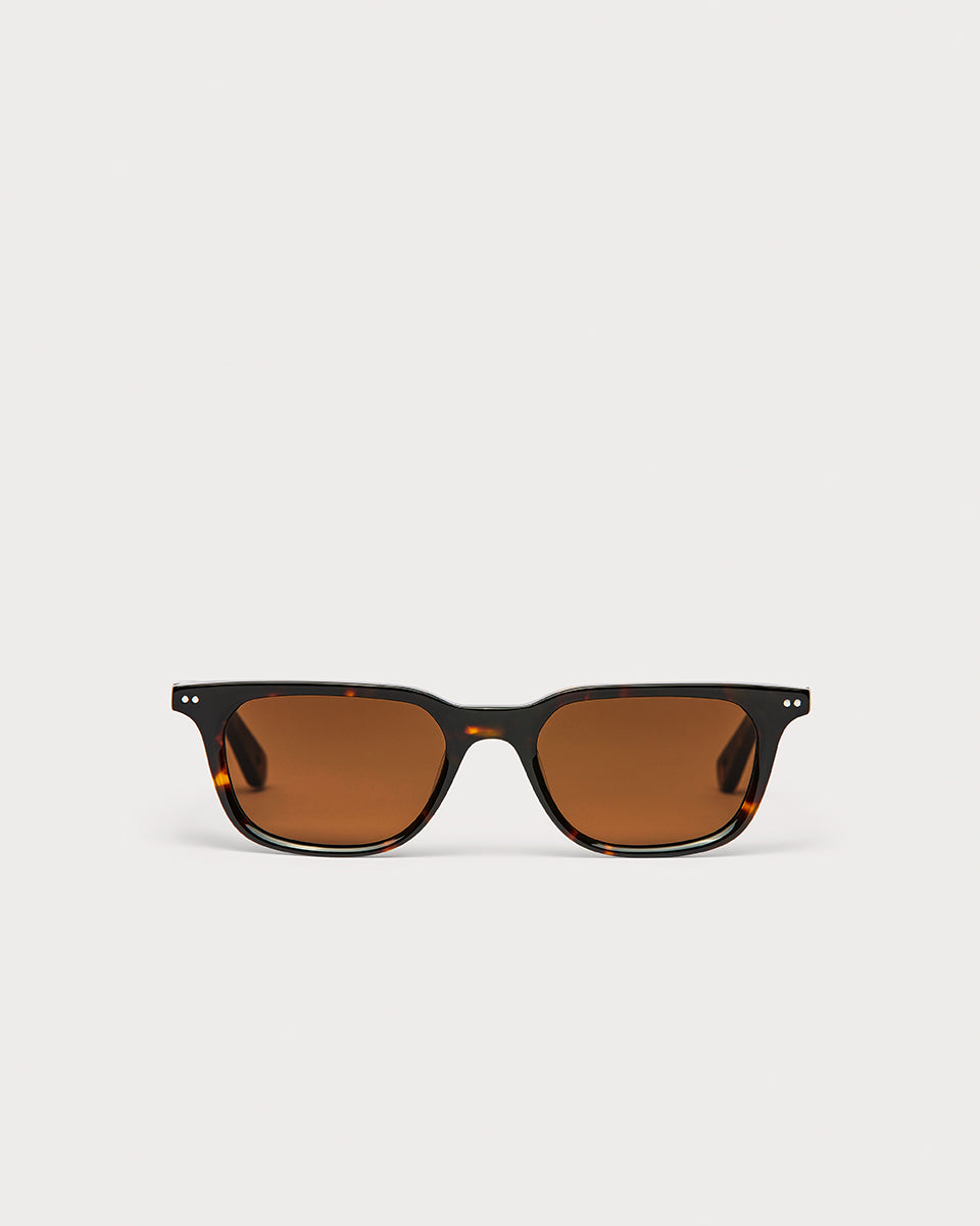 Solé Tortoise